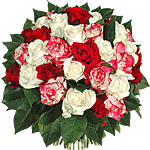 Passion de Roses